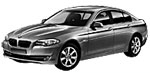 BMW F10 U0665 Fault Code